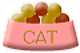 猫ご飯
